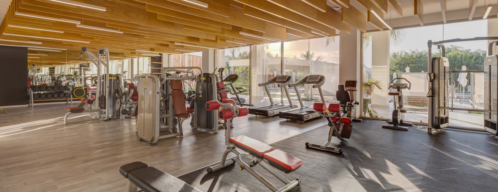 GYM-1