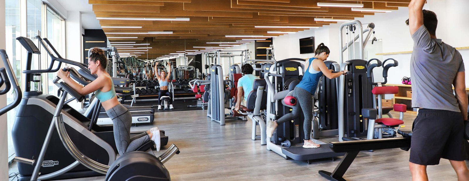 GYM-2